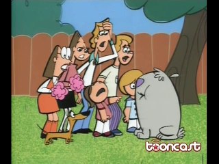 Dois cachorros estrupidos - Correio