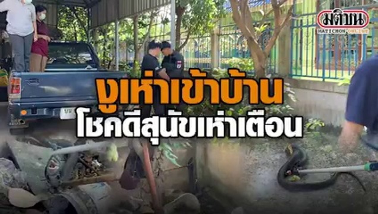 ระทึก! เจ้าหน้าที่กู้ภัยเร่งจับงูเห่าเข้าบ้านชาวหนองคาย