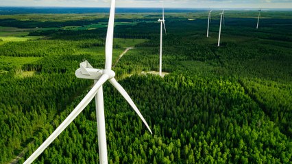 Finland's Climate Warriors | People and Power