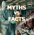 Myths Vs Facts Of Bird Flu Or Avian Influenza
