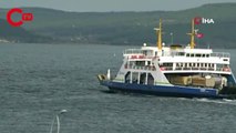 Gökçeada’ya yarınki tüm feribot seferleri iptal