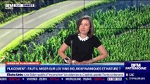 Idée de placements : Faut-il miser sur les vins bio, biodynamiques et nature ? - 07/01