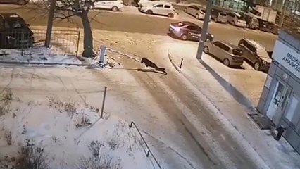 Un Russe tellement ivre qu'il s'endort sur une barrière