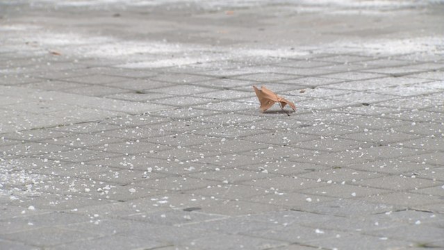 Las calles de Madrid se llenan de sal para evitar riesgos por la nieve