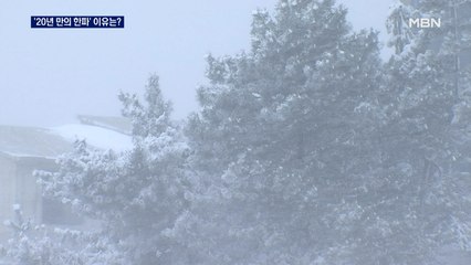 20년 만에 최강 한파…북극 찬 공기 내려와