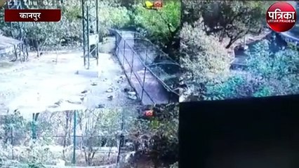 कानपुर चिड़ियाघर : 2 दिनों में 10 पक्षियों की गयी जान, प्रशासन सख्ते में