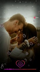 Gulaabo Status | Vishal Dadlani | Anusha Mani | Amit Trivedi | DK Status