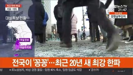 지구온난화의 역설…2000년대 최강급 북극 한파