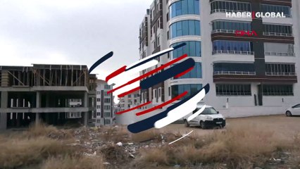 4 patisi kesilmiş bir kedi daha bulundu!
