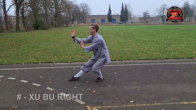 Martial Arts 9 Stances of Shaolin Kungfu - Kung Fu