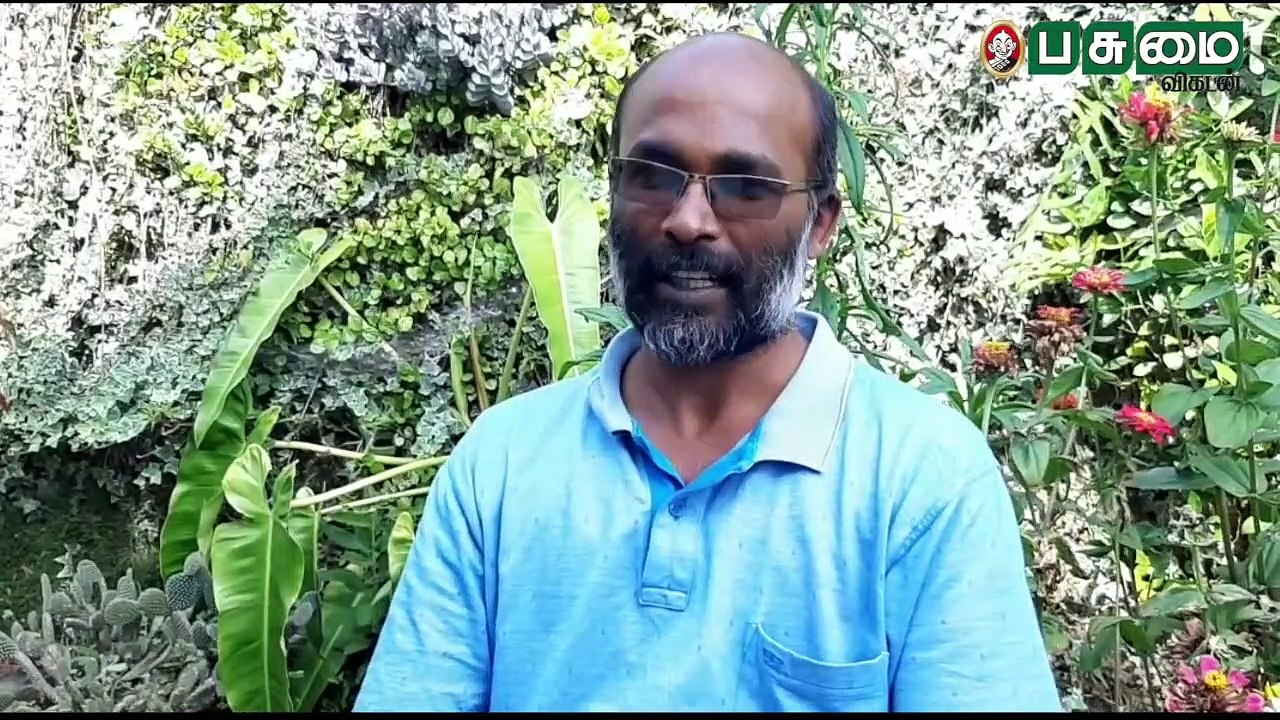 குறைவான செலவில் கோழித்தீவனம் ரெடி! Country Chicken Food