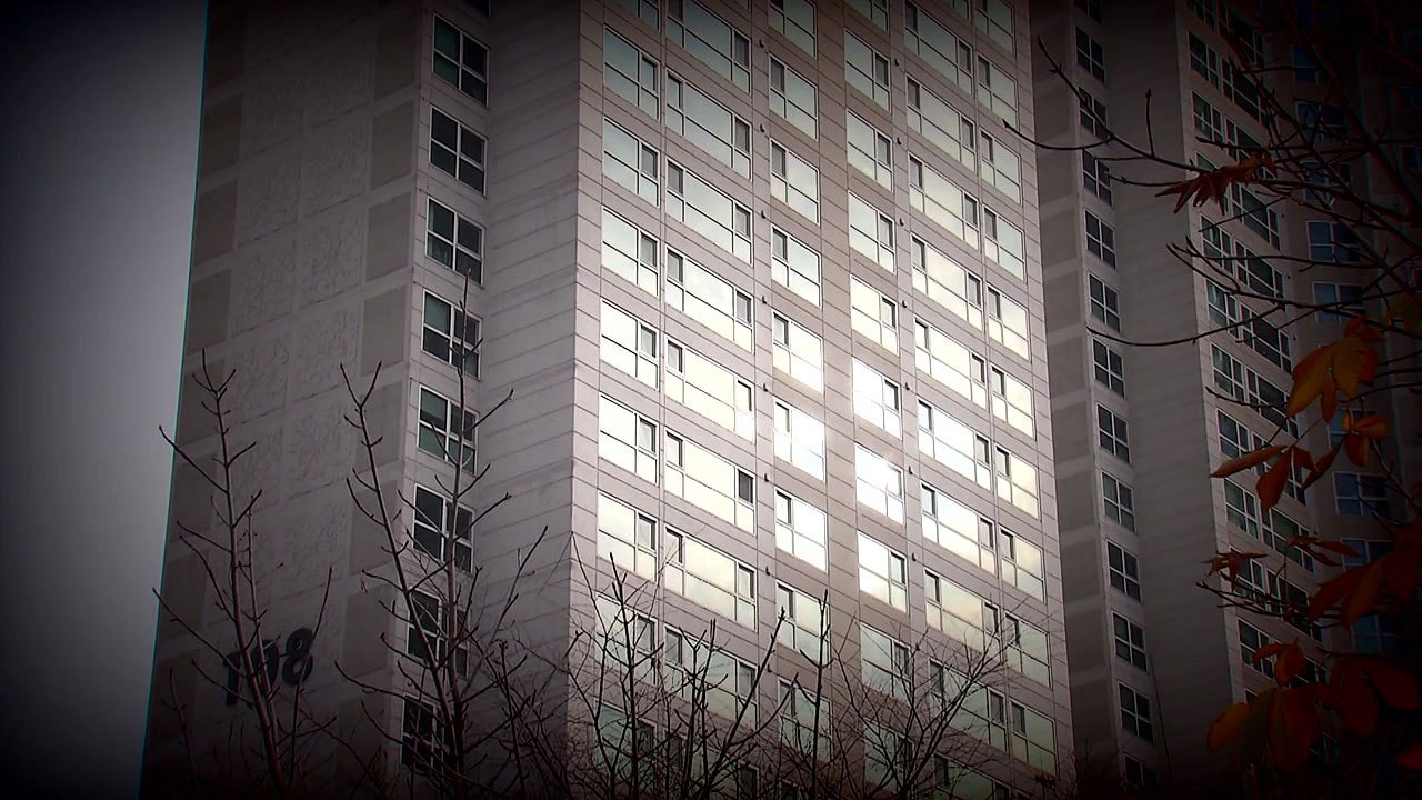 방 쪼개기·불법 외환거래...신종 부동산 자금 변칙 탈루 / YTN