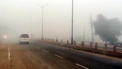 Video: शीतलहर का प्रकोप, कोहरे ने जनजीवन किया प्रभावित