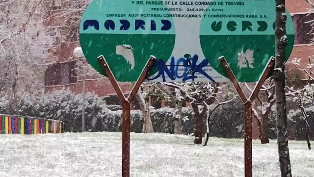 El temporal de nieve azota Madrid dejando blancas todas sus calles