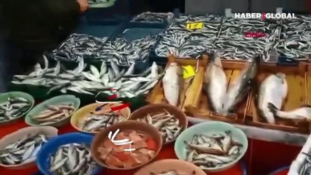 İstanbul Boğazı ve Karadeniz'de hamsi avı yasaklandı!