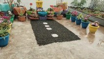 Mini Terrace Garden | Easy Garden Ideas | DIY Garden