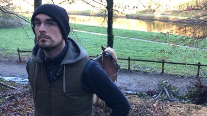 Des chevaux de trait contre les plantes invasives