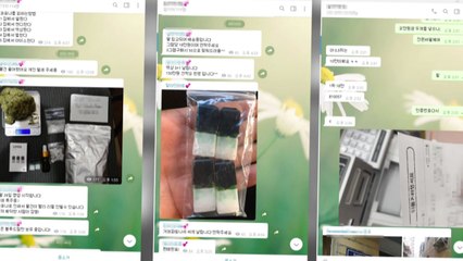 국내 최대급 마약 공급책 '바티칸 킹덤' 검거...49억 원어치 유통 / YTN