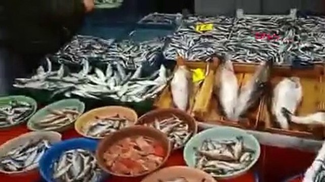 Karadeniz'de hamsi avına 10 gün yasak getirildi