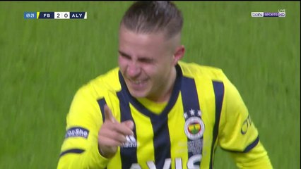 Fenerbahce 2-0 Alanyaspor: GOAL Pelkas
