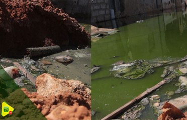 Les eaux usées des HLM 5 tuent les vieillards, le cri de coeur de la population