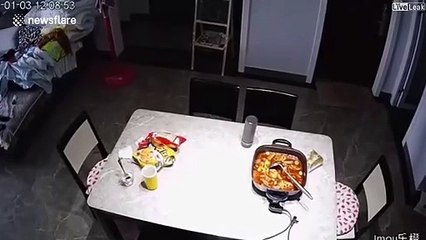 Un siphon de chantilly explose soudainement