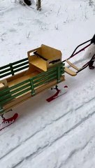 Newfoundland Pulls Sleigh through Mountain Trail