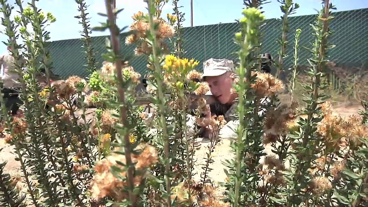 U.S. Recon Marines • Sniper Training • 50 Caliber Sniper Rifle