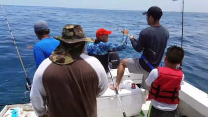 barracuda de 20 Libras barracuda al currican