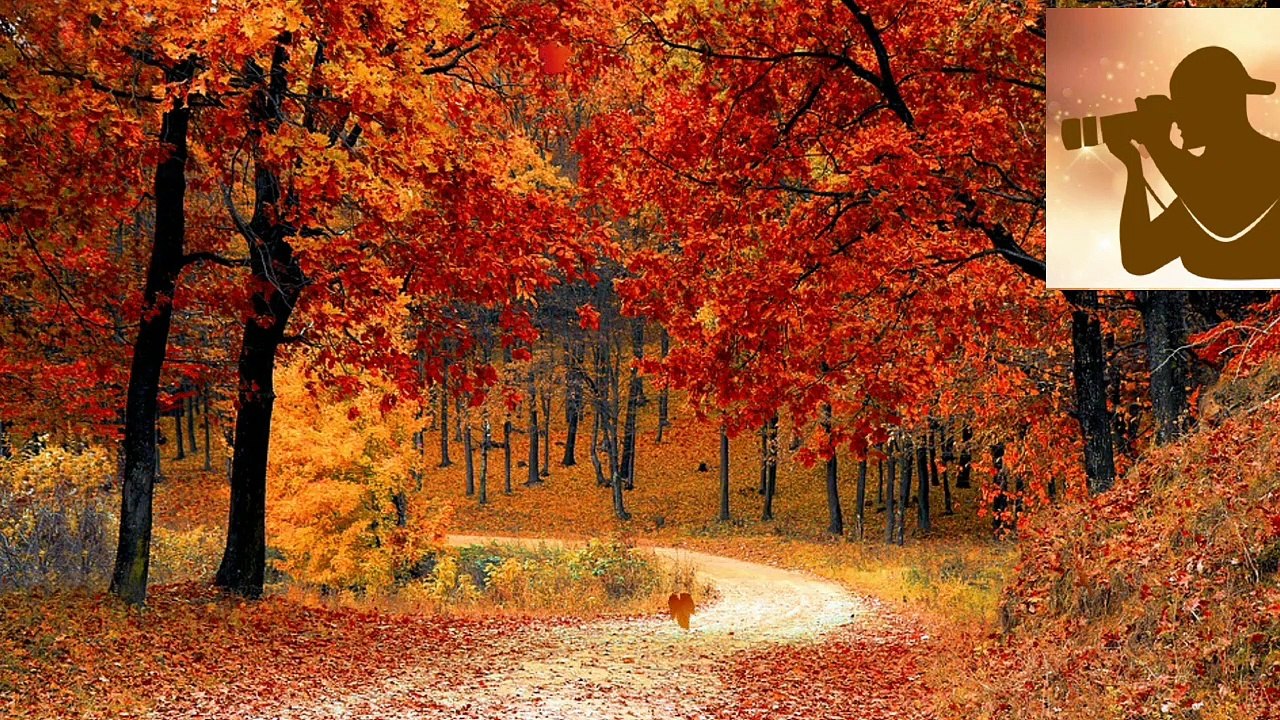 Beautiful season.