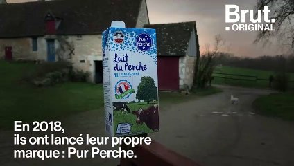 Dans le Perche, ces éleveurs laitiers ont décidé de quitter le système industriel
