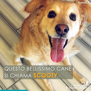 Dopo un incidente stradale, Scooty ritorna a vivere