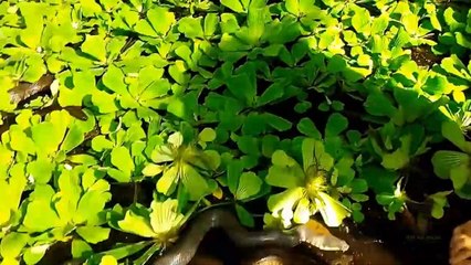 5 Most Dangerous Jobs In The World