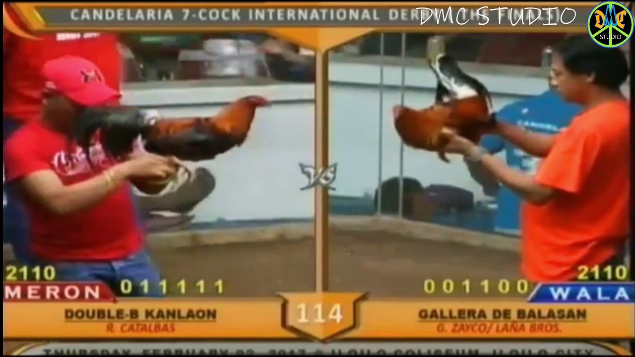 COCK FIGHTING - SUPER SABONG 001