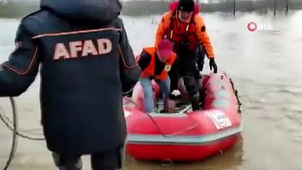 Taşkında mahsur kalan yavru köpekler kurtarıldı