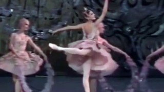 バレエ ballet 美しい　beautiful