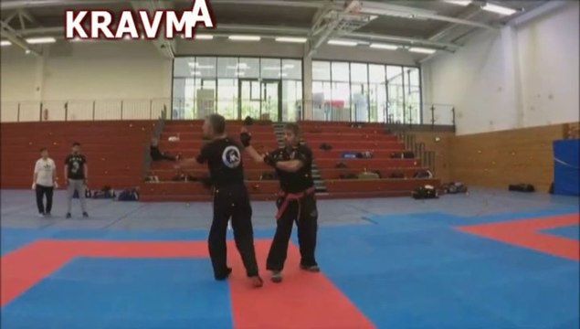 KRAV MAGA SPK MASTER LEVINET