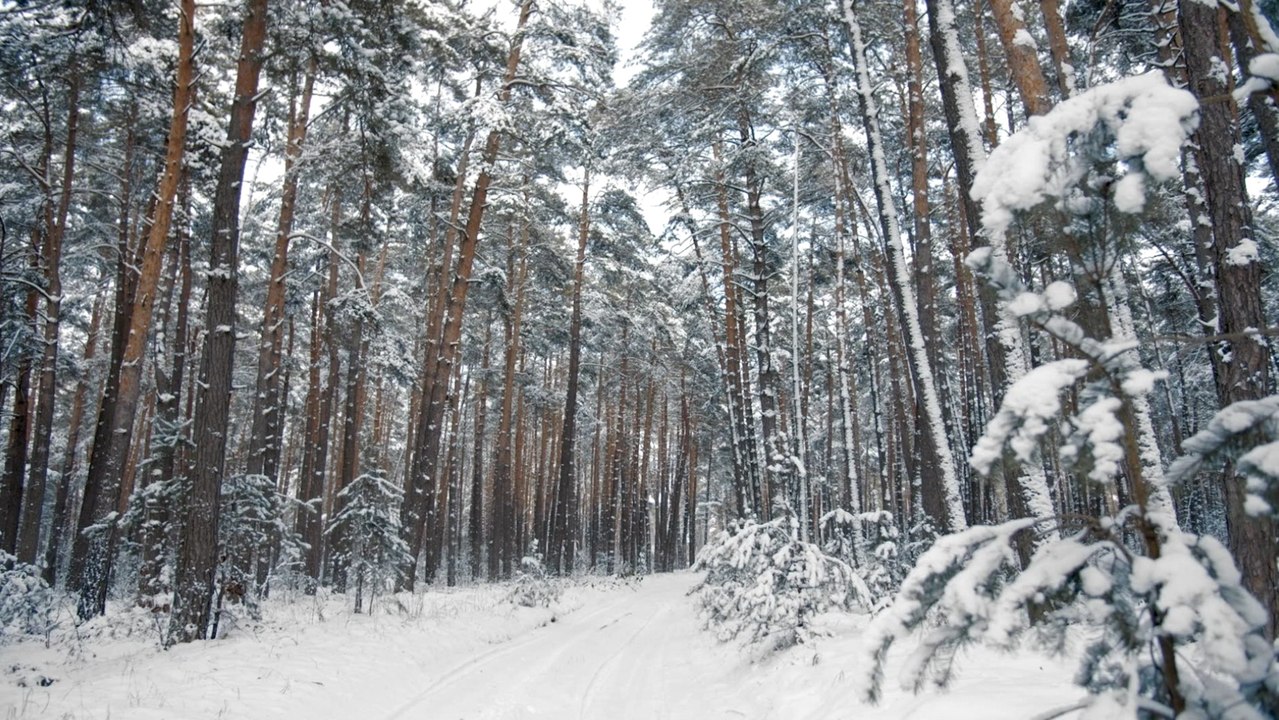 112 Comunidad de Madrid explica los niveles del Plan de Inclemencias Invernales