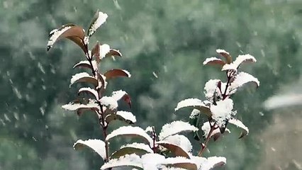Activado el nivel rojo por fuertes nevadas hoy en Madrid y Castilla-La Mancha