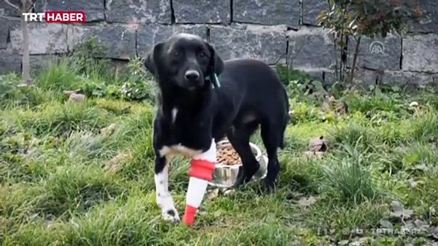 Jack'e 3 boyutlu yazıcıdan protez yapıldı