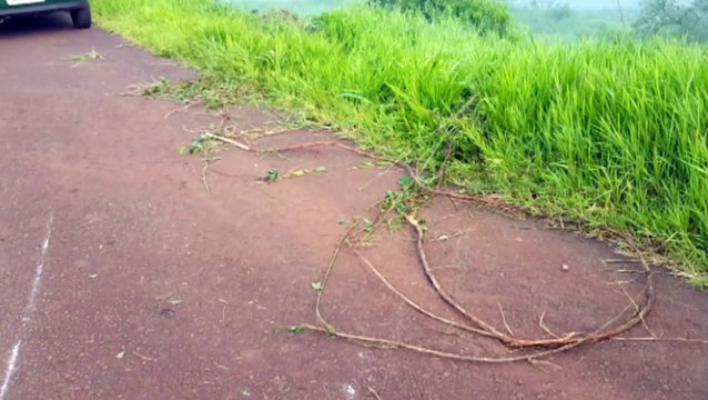 Condutor perde a direção e capota o veículo na BR-467 em Cascavel