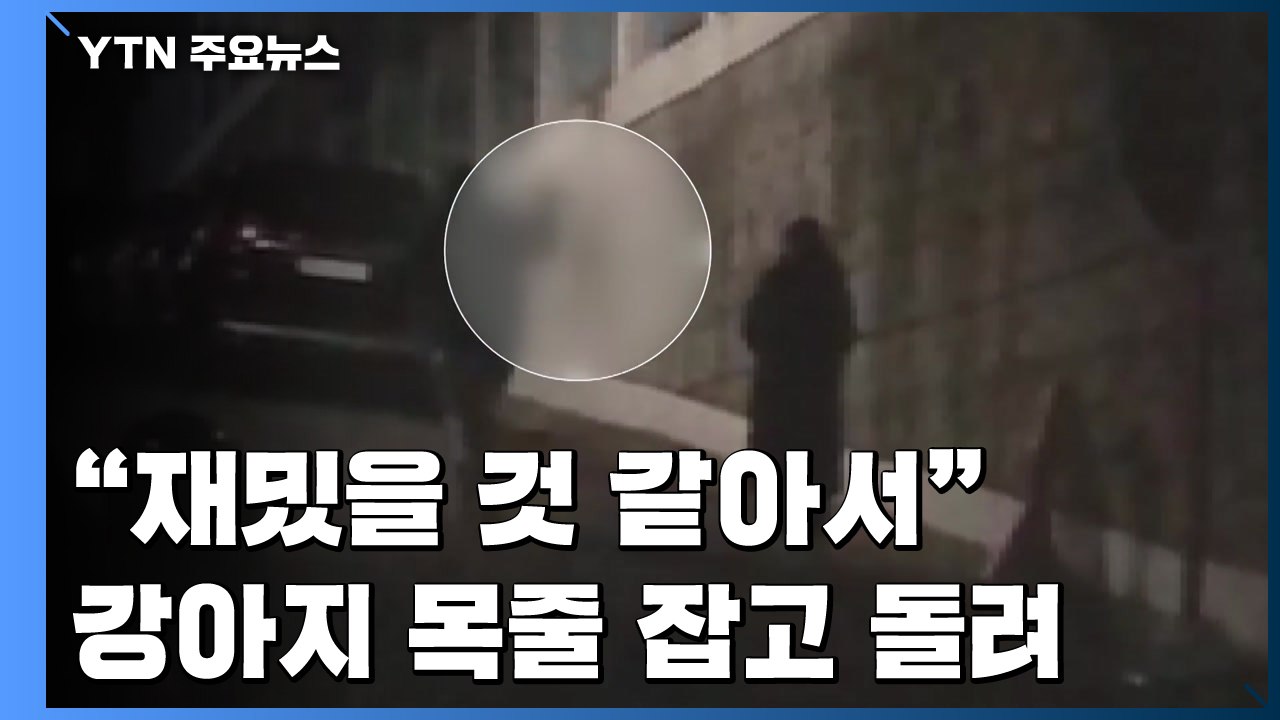 "재밌을 것 같아서" 강아지 목줄 잡고 '빙글빙글' / YTN