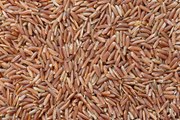 8 Propiedades y Beneficios del Arroz Rojo