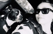 Miley Cyrus lança música em memória de sua cachorrinha Mary Jane