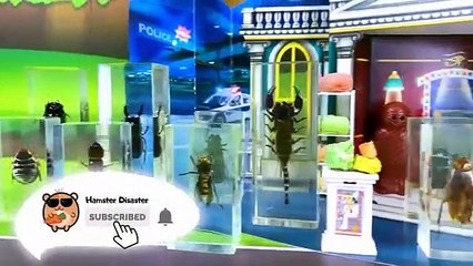 6 LEVEL BIG Rainbow Cake Maze for My Hamster .A Brave Hamster visits the museum full of insects in the glass blocks