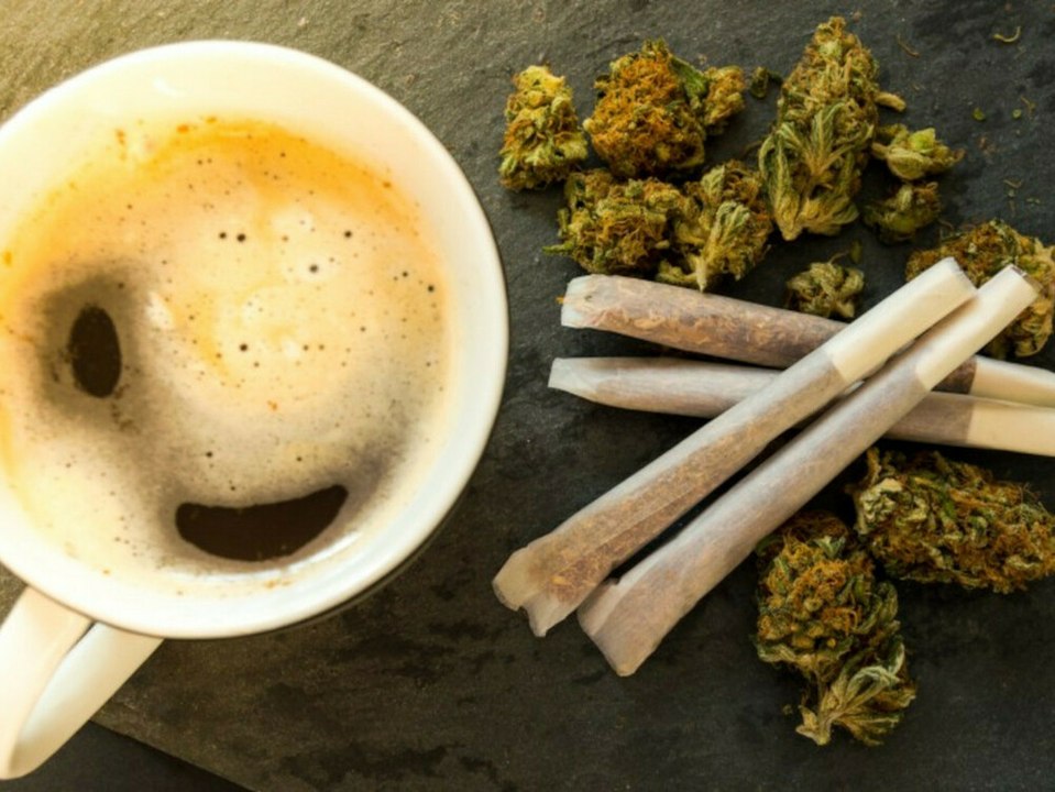 Ausgekifft: Amsterdam möchte Drogentourismus unterbinden