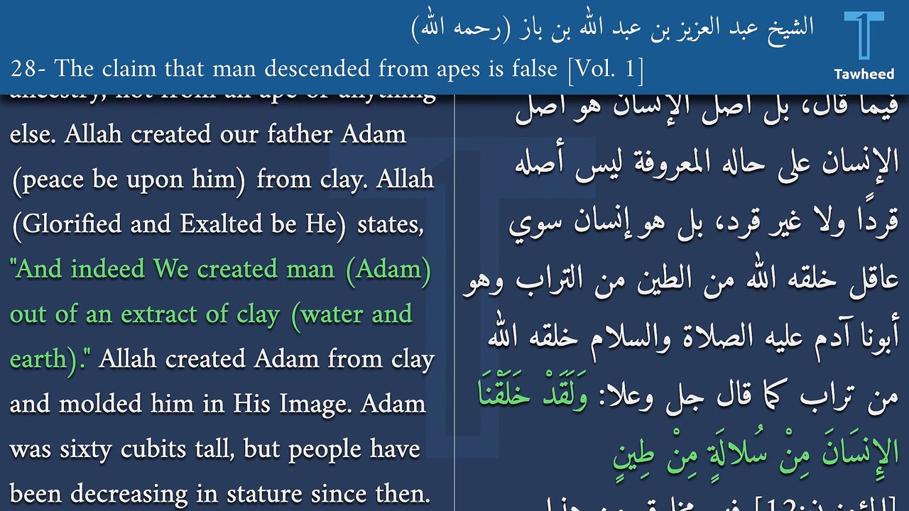 V1:28- The claim that man descended from apes is false