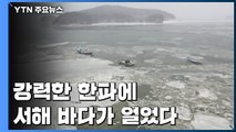 최강 한파에 바다도 '꽁꽁'...난방비 부담에 꽃 출하 포기 / YTN
