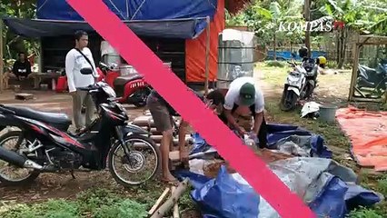 Télécharger la video: Bertahan di Tengah Pandemi dengan Budidaya Jamur Tiram