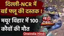 Bird Flu in Delhi-NCR! : Mayur Vihar में 100 Crows की मौत से दहशत | वनइंडिया हिंदी